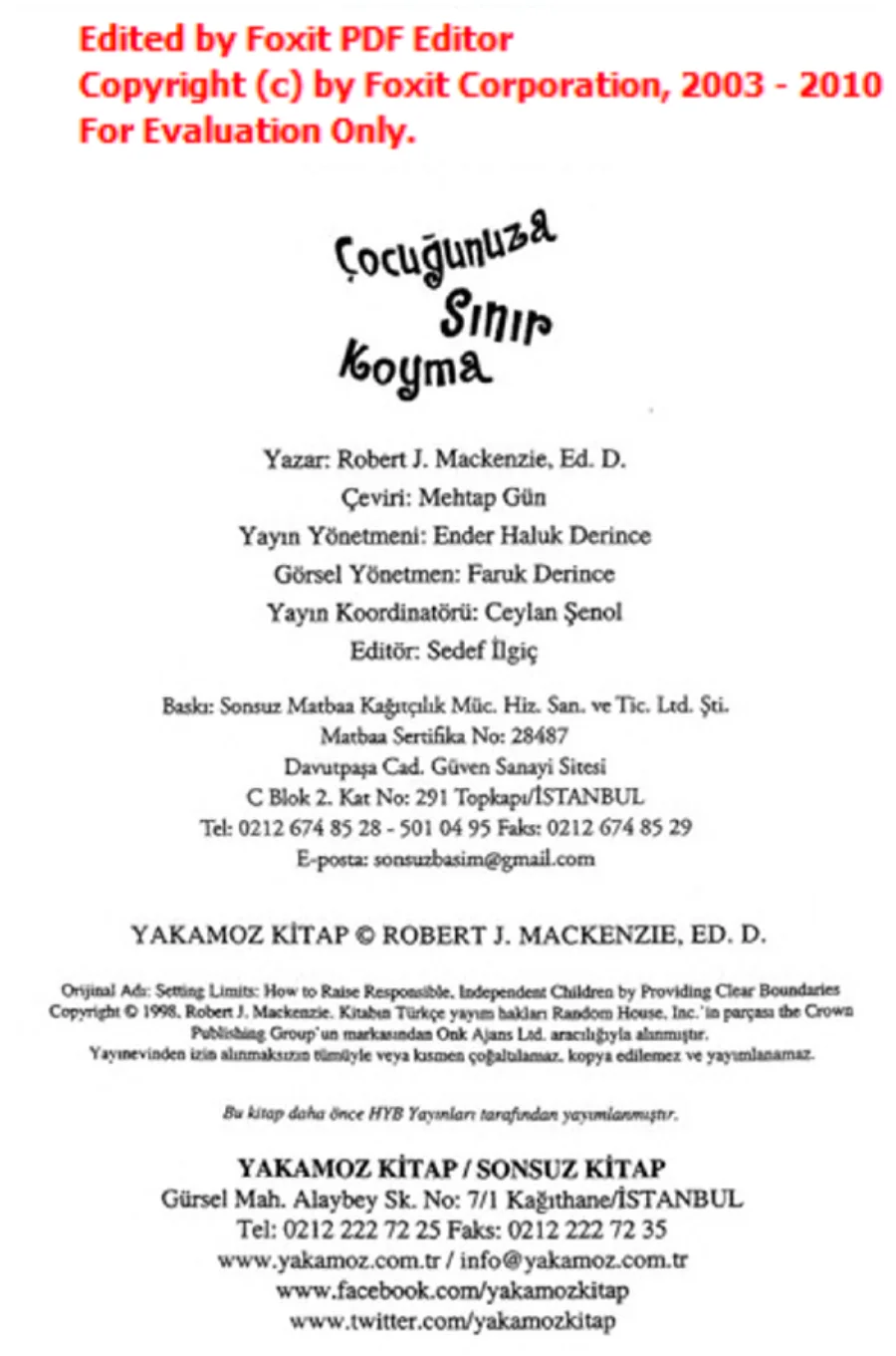 Çocuğunuza Sınır Koyma 2 kapak görseli
