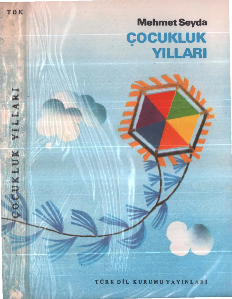 Çocukluk Yılları kapak görseli
