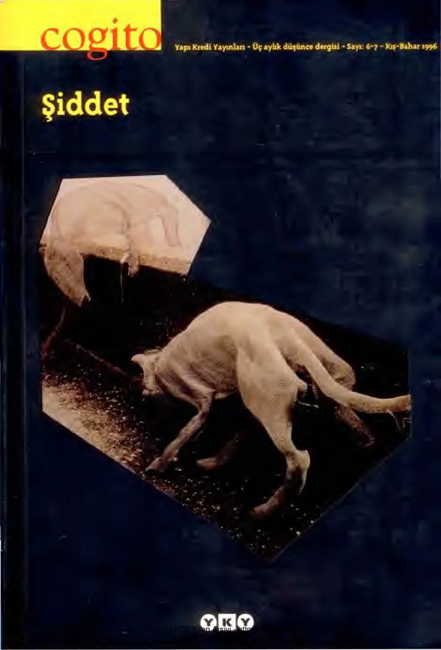 Cogito Sayı 006 007 Şiddet kapak görseli