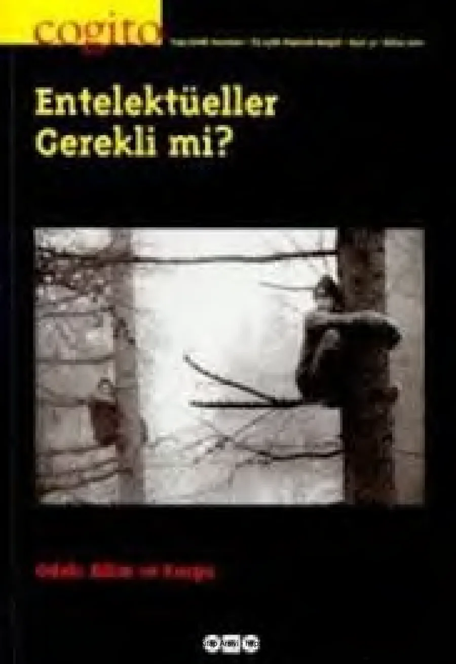 Cogito Sayı 031 Entelektüeller Gerekli mi kapak görseli