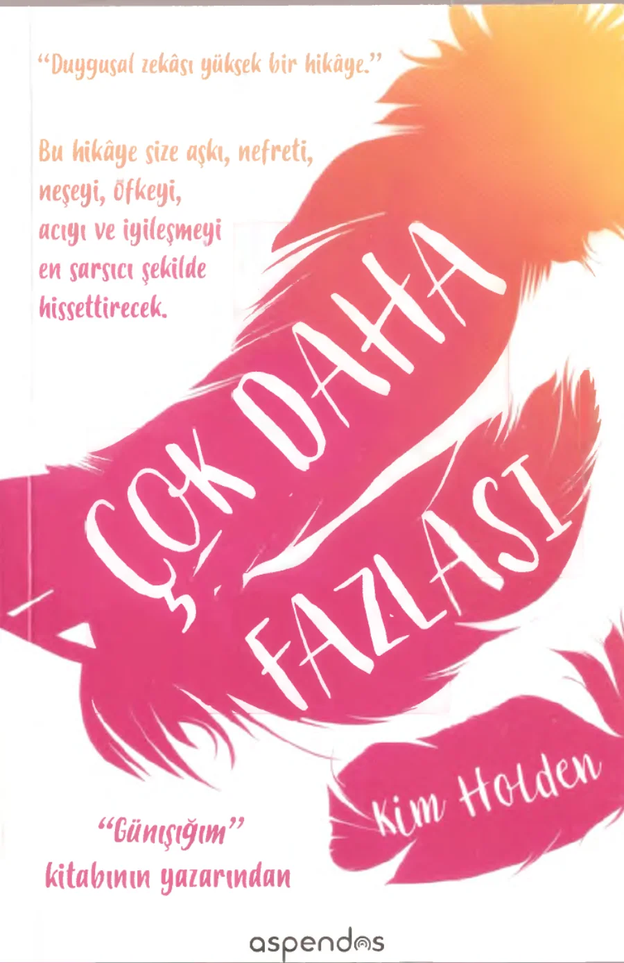Çok Daha Fazlası kapak görseli