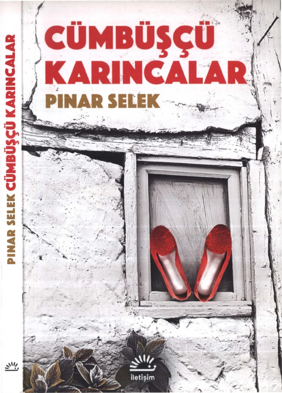 Cümbüşlü Karıncalar kapak görseli