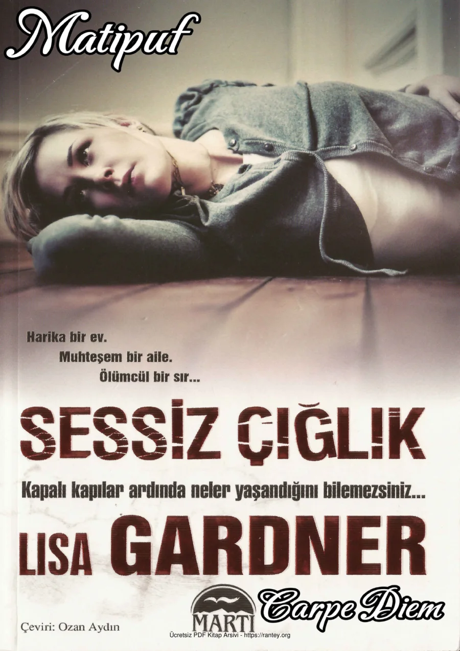 D D Warren Serisi 3 Sessiz Çığlık kapak görseli