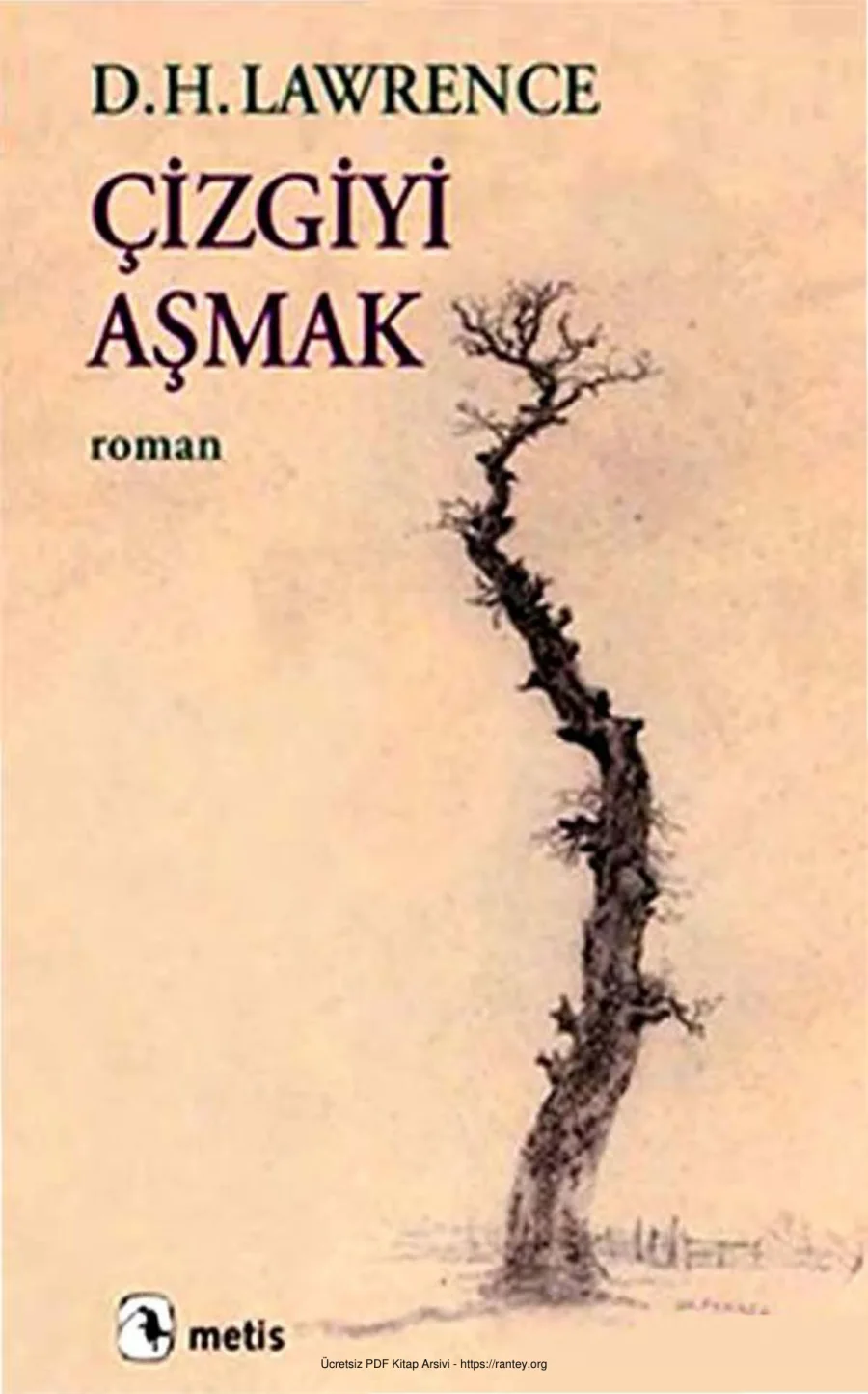 D H Lawrence Çizgiyi Aşmak Metis Yayınları kapak görseli