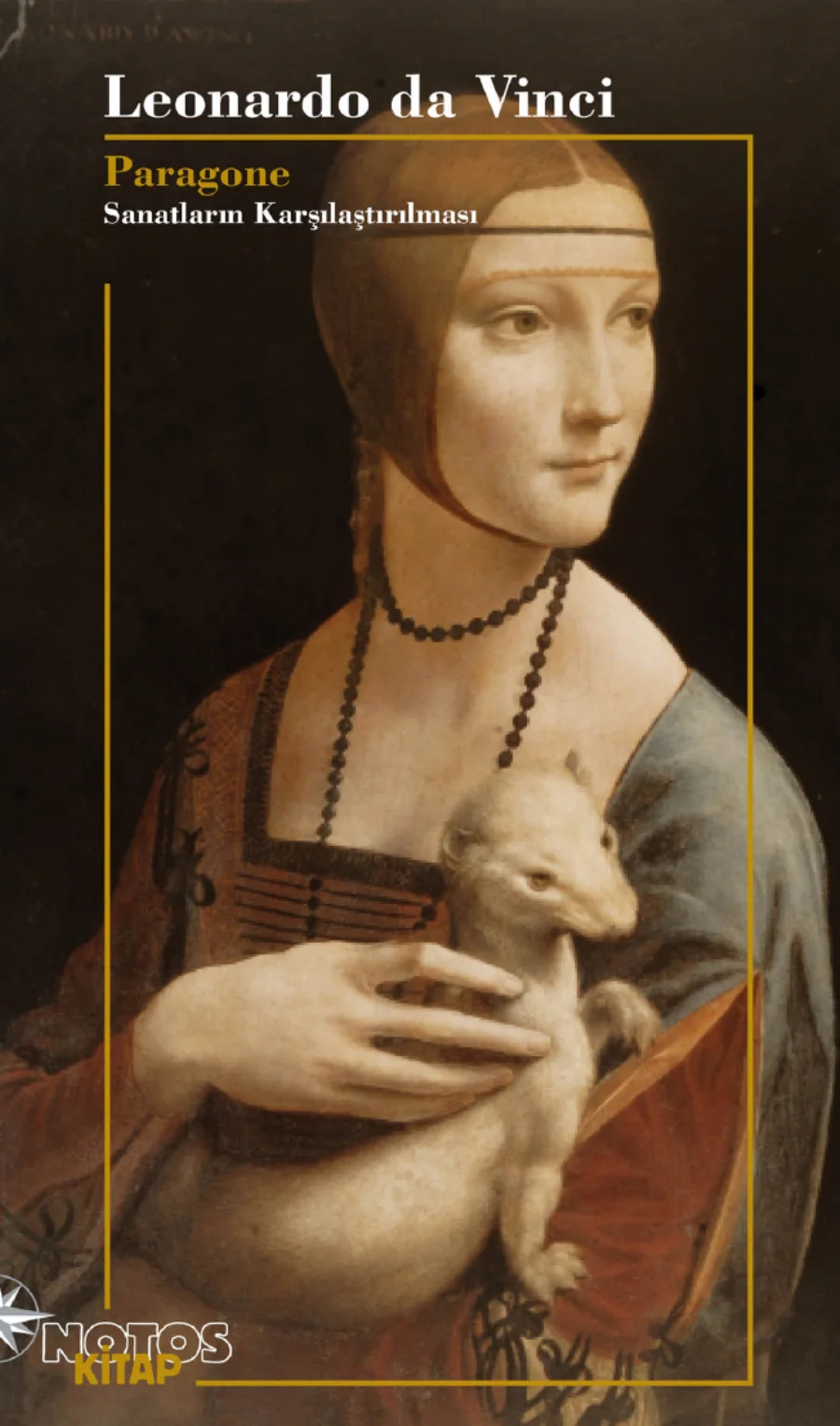 da Vinci Paragone kapak görseli