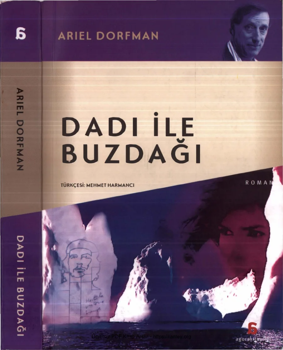 Dadı ile Buzdağı kapak görseli