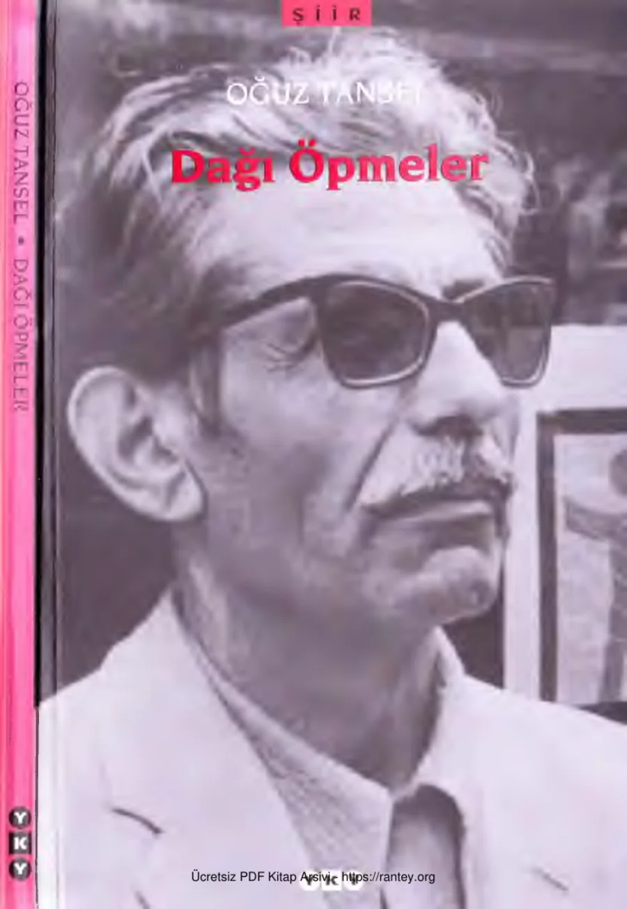 Dağı Öpmeler kapak görseli