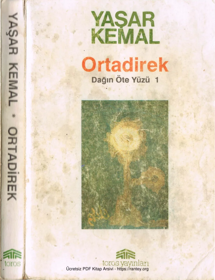 Dağın Öte Yüzü 1 Ortadirek kapak görseli