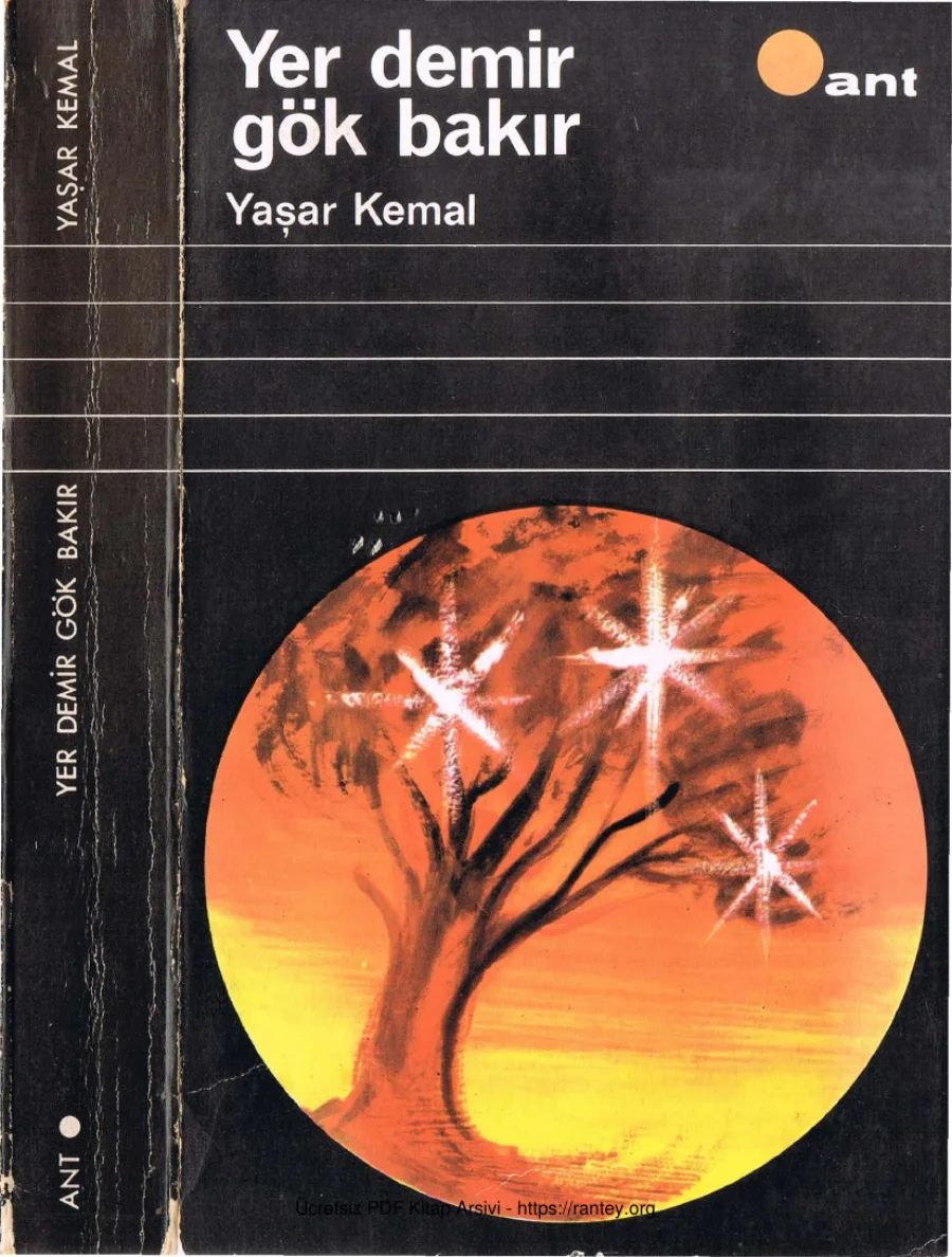 Dağın Öte Yüzü 2 Yer Demir Gök Bakır kapak görseli