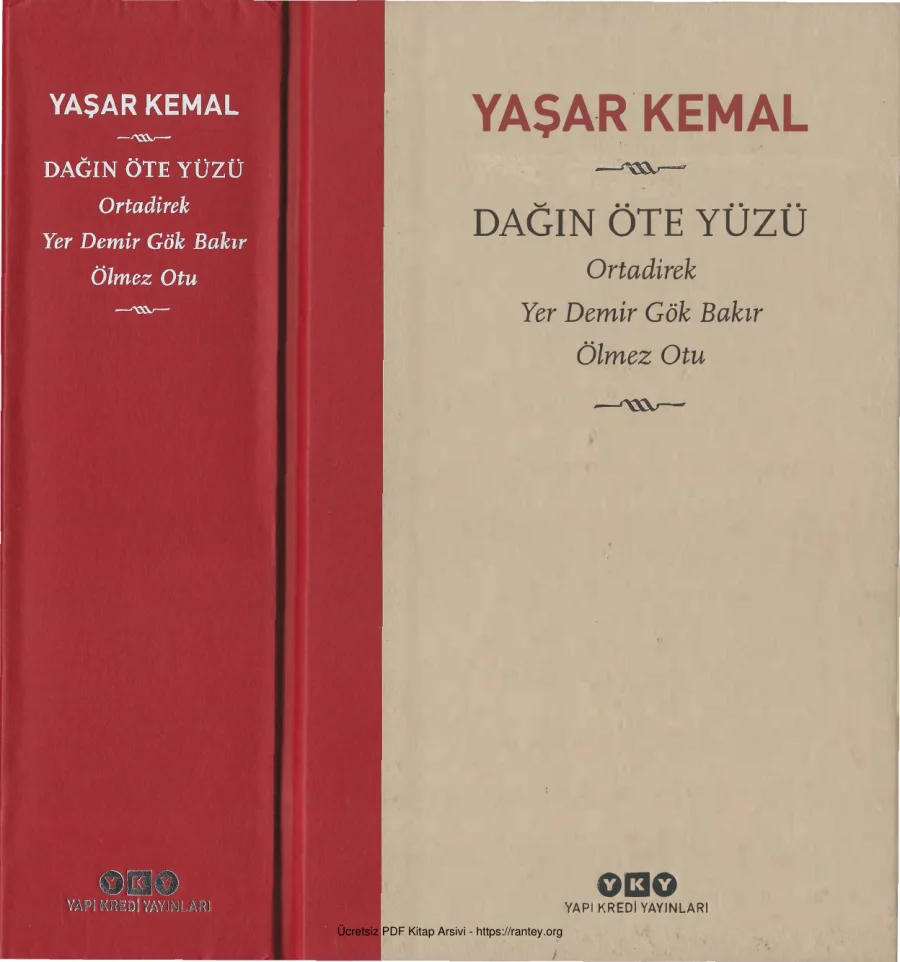 Dağın Öte Yüzü kapak görseli