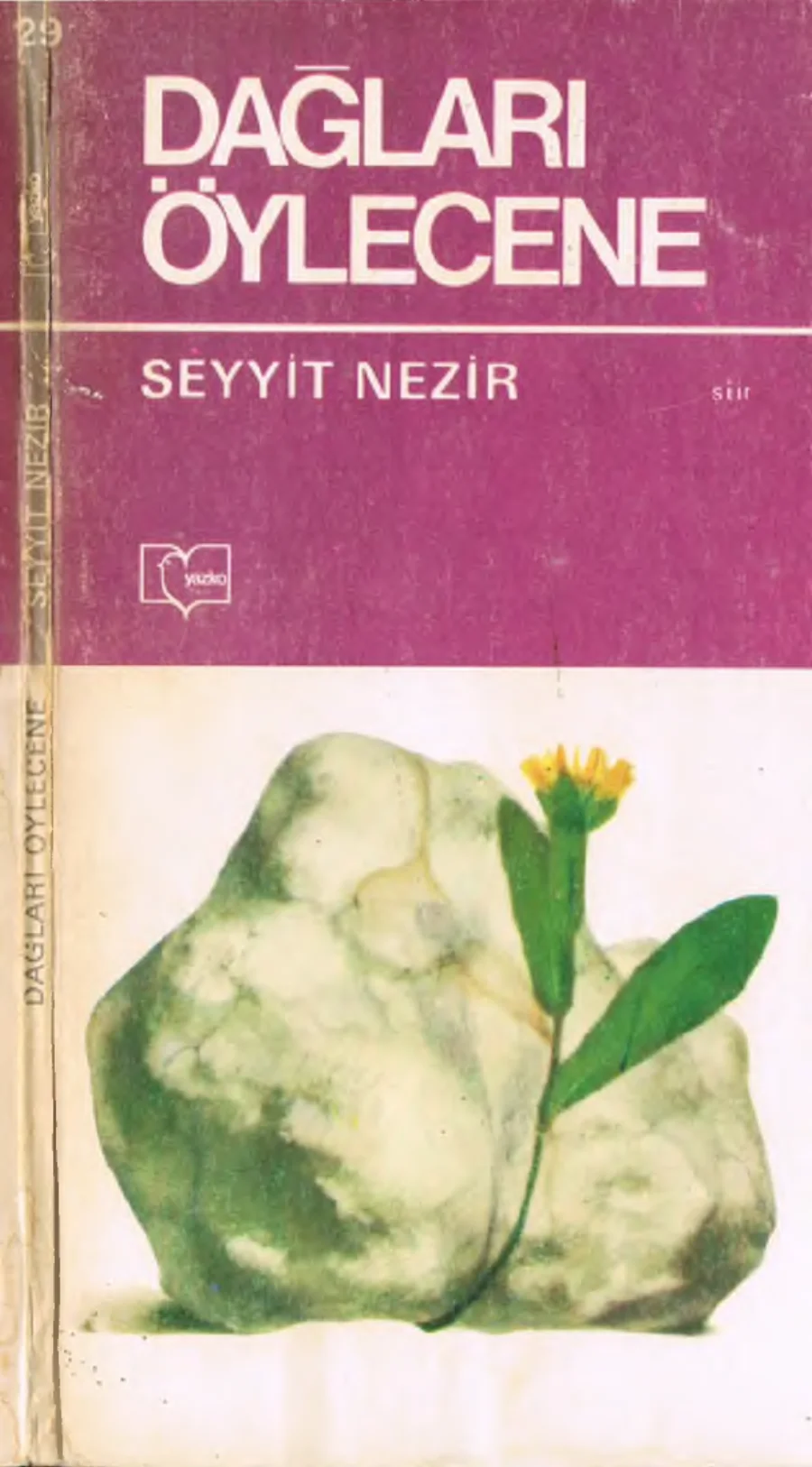 Dağları Öylecene kapak görseli