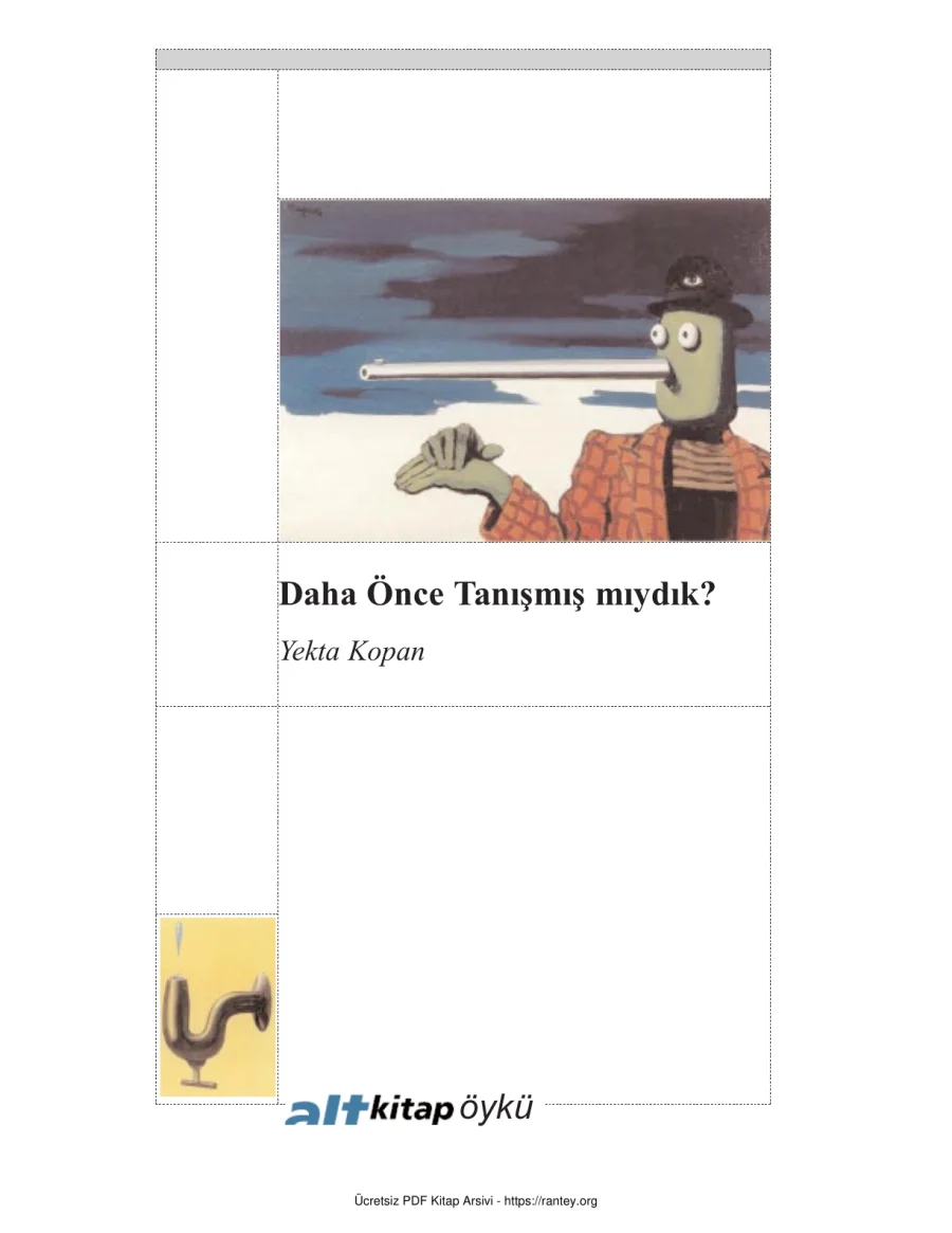 Daha Once Tanismis Miydik kapak görseli