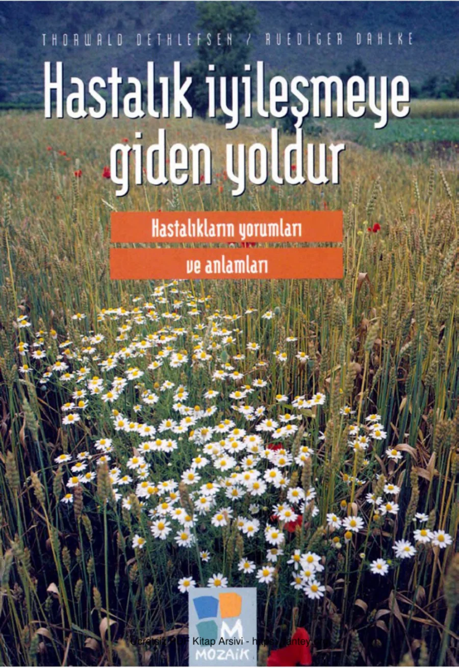 Dahlke Hastalık iyileşmeye Giden Yoldur kapak görseli