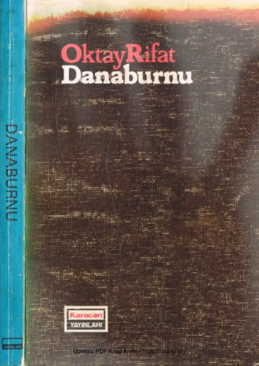 Danaburnu kapak görseli