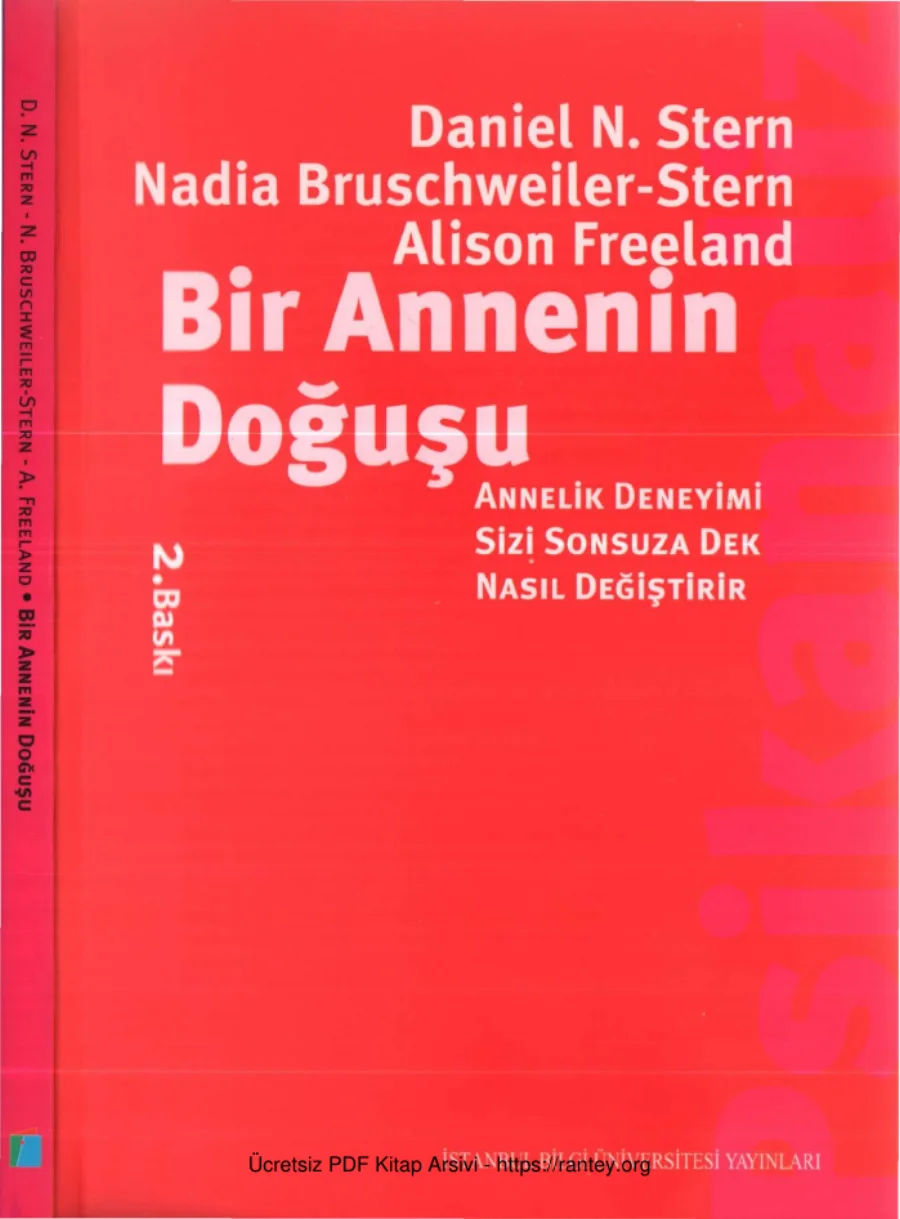 Daniel N Stern vd Bir Annenin Doğuşu kapak görseli