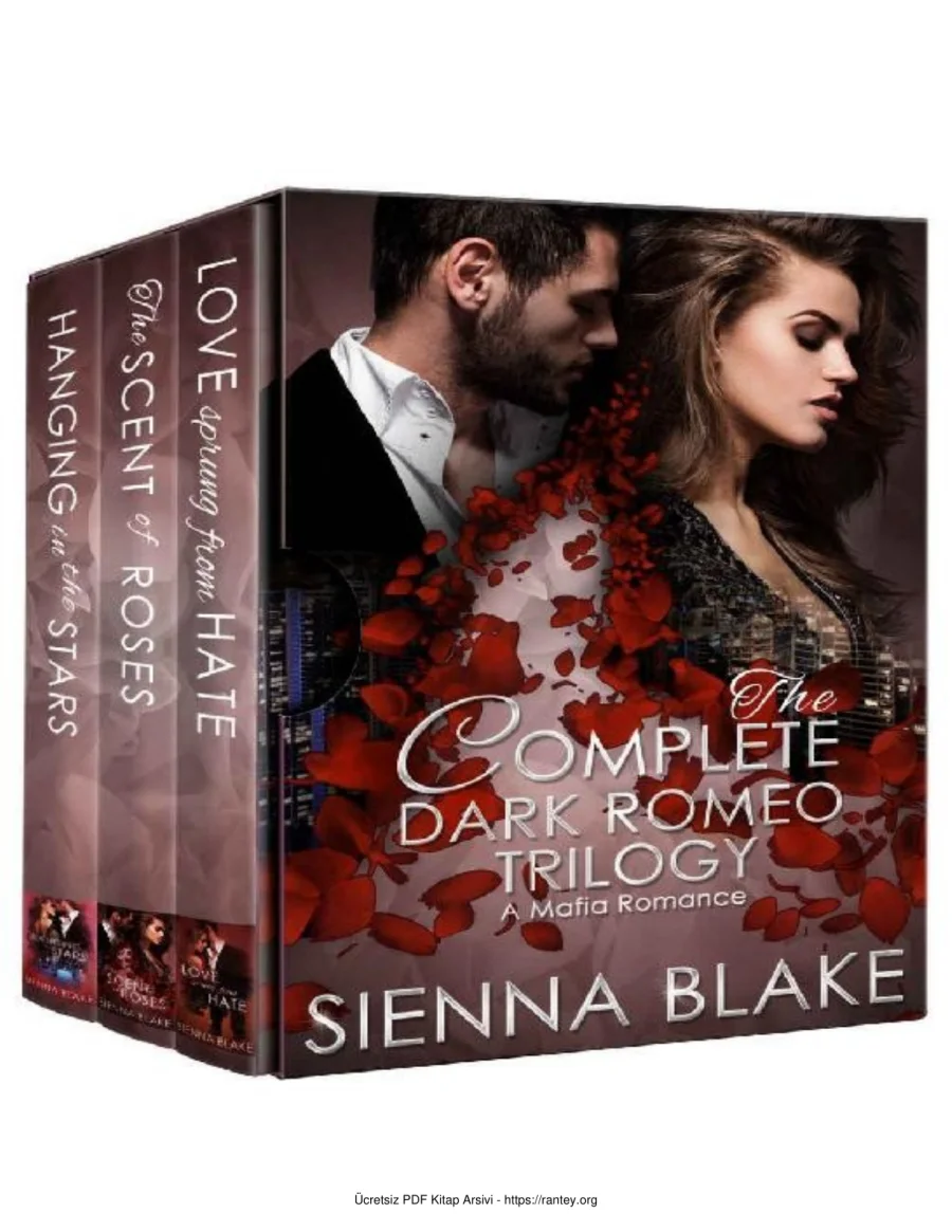 Dark Romeo Serisi Complete Trilogy Box Set kapak görseli