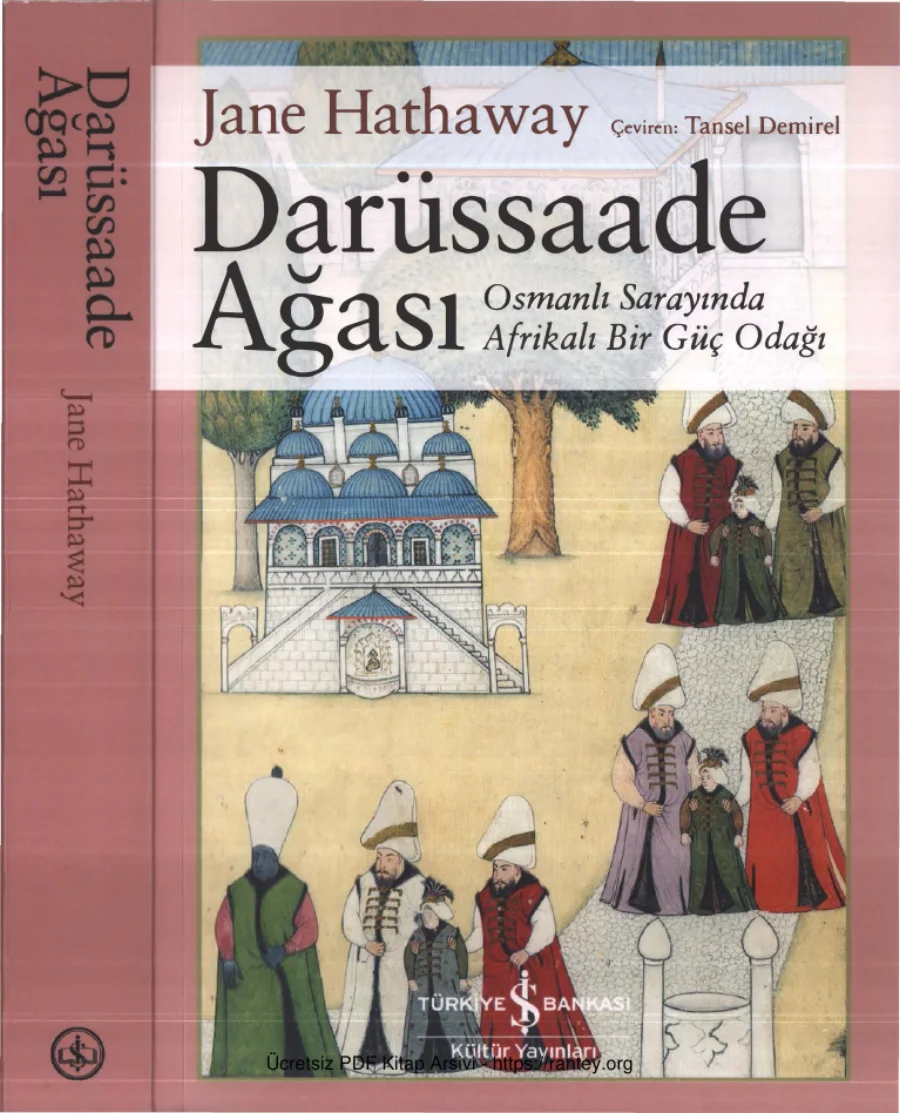 Dârüssaâde Ağası kapak görseli