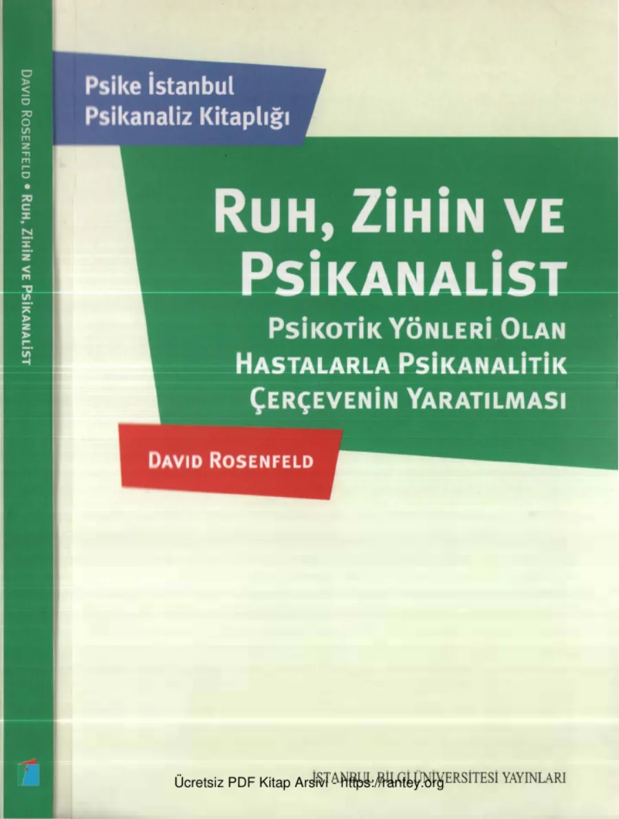 David Rosenfeld Ruh Zihin ve Psikanalist kapak görseli