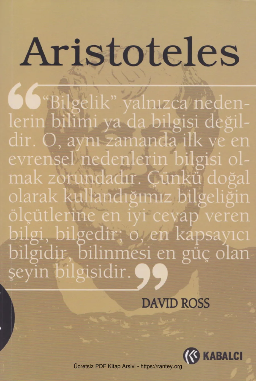 David Ross kapak görseli