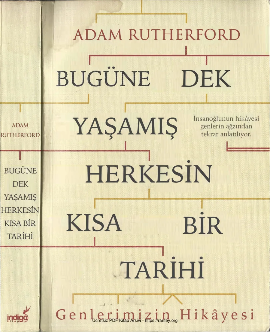 Dek Yaşamış Herkesin Kısa Bir Tarihi kapak görseli