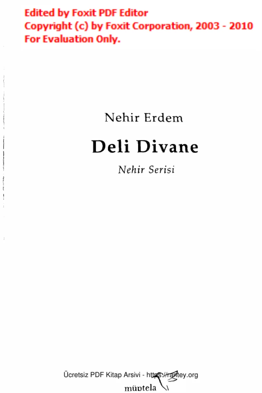 Deli Divane kapak görseli