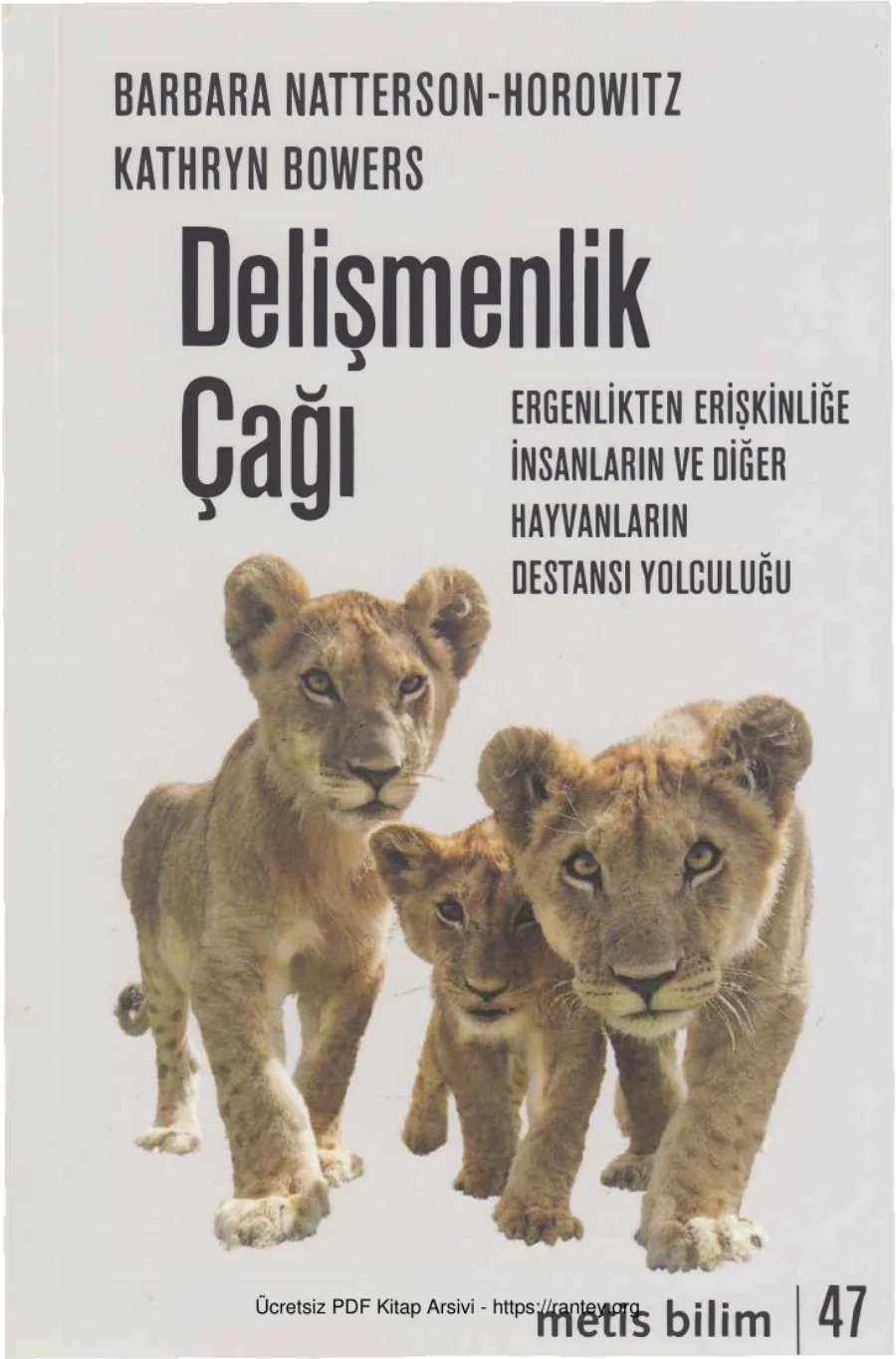 Delişmenlik Çağı kapak görseli