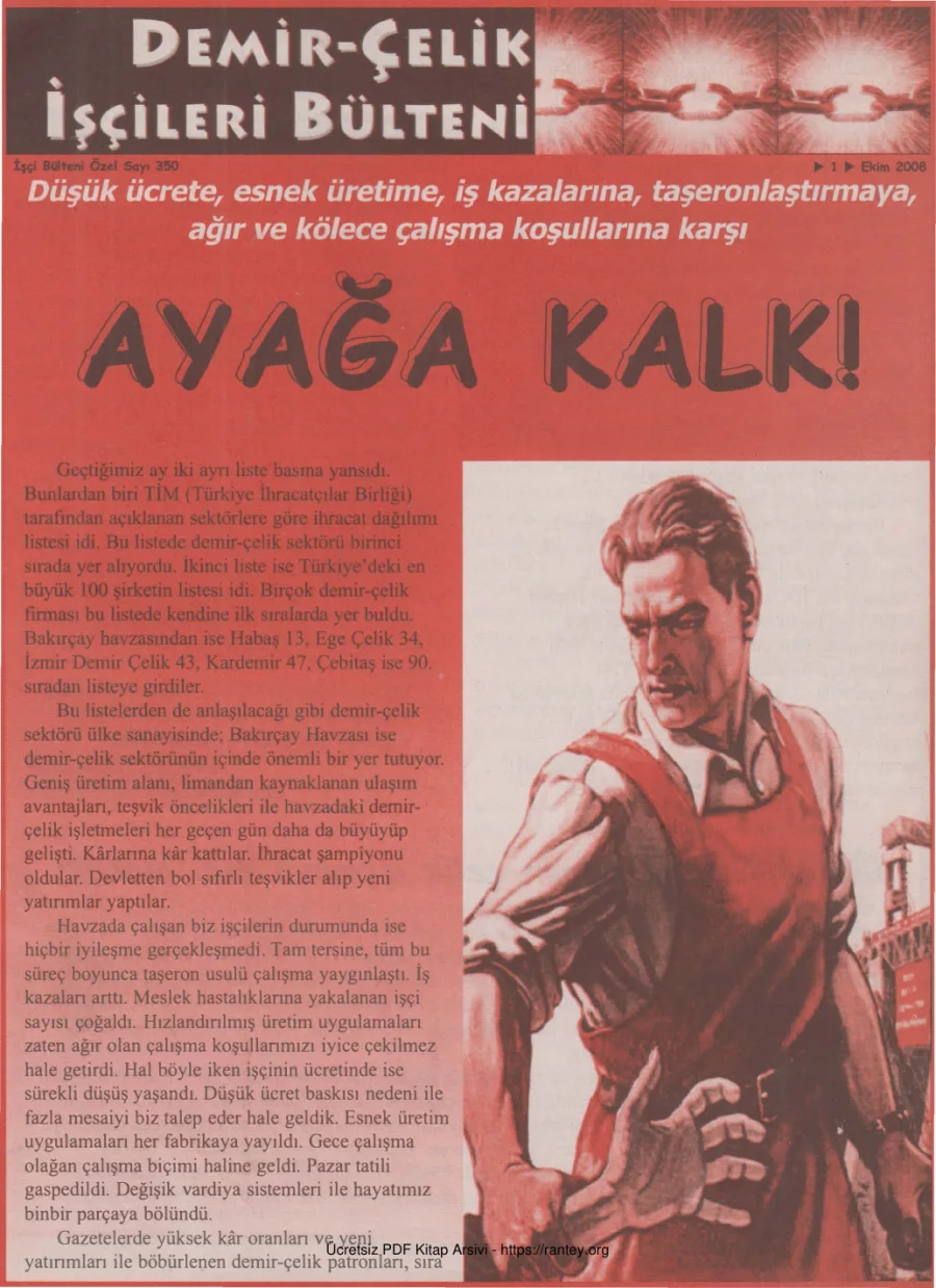 Demir Çelik İşçileri Bülteni İşçi Bülteni Özel Sayı 350 Ekim 2008 kapak görseli
