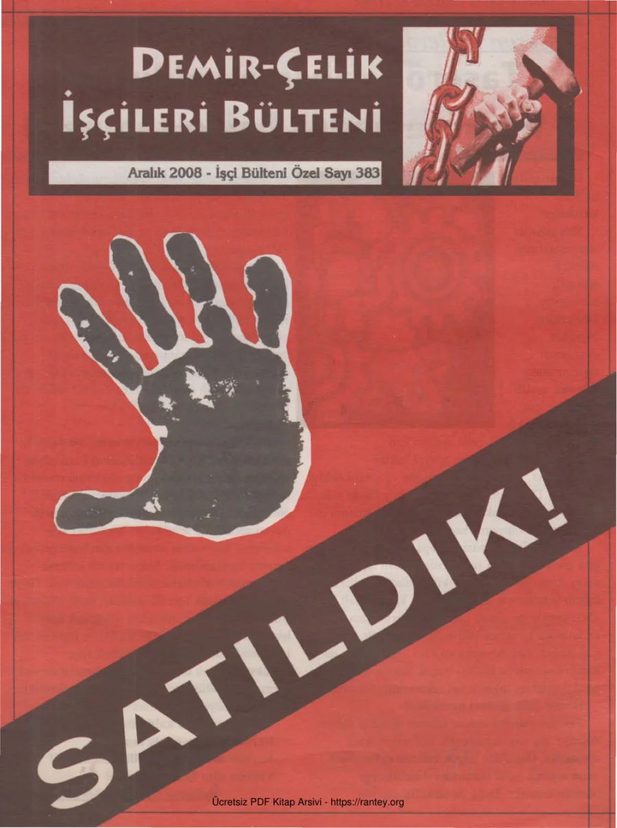 Demir Çelik İşçileri Bülteni İşçi Bülteni Özel Sayı 383 Aralık 2008 kapak görseli