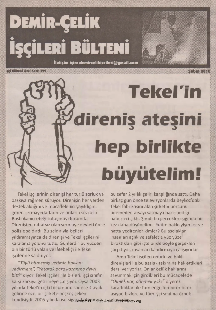Demir Çelik İşçileri Bülteni İşçi Bülteni Özel Sayı 529 Şubat 2010 kapak görseli