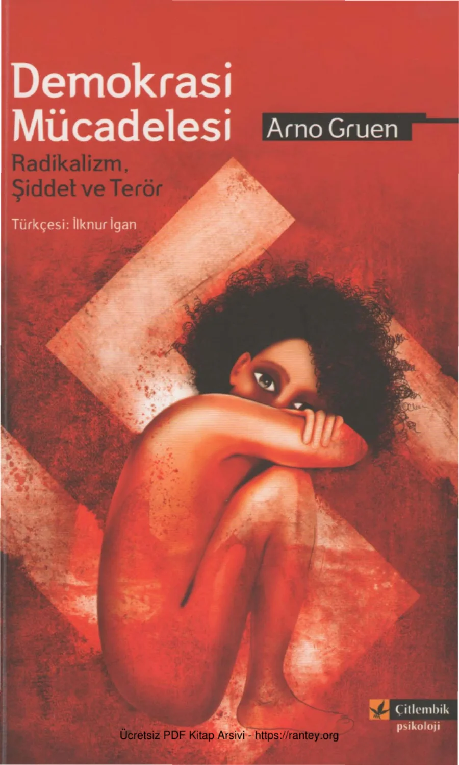 Demokrasi Mücadelesi kapak görseli