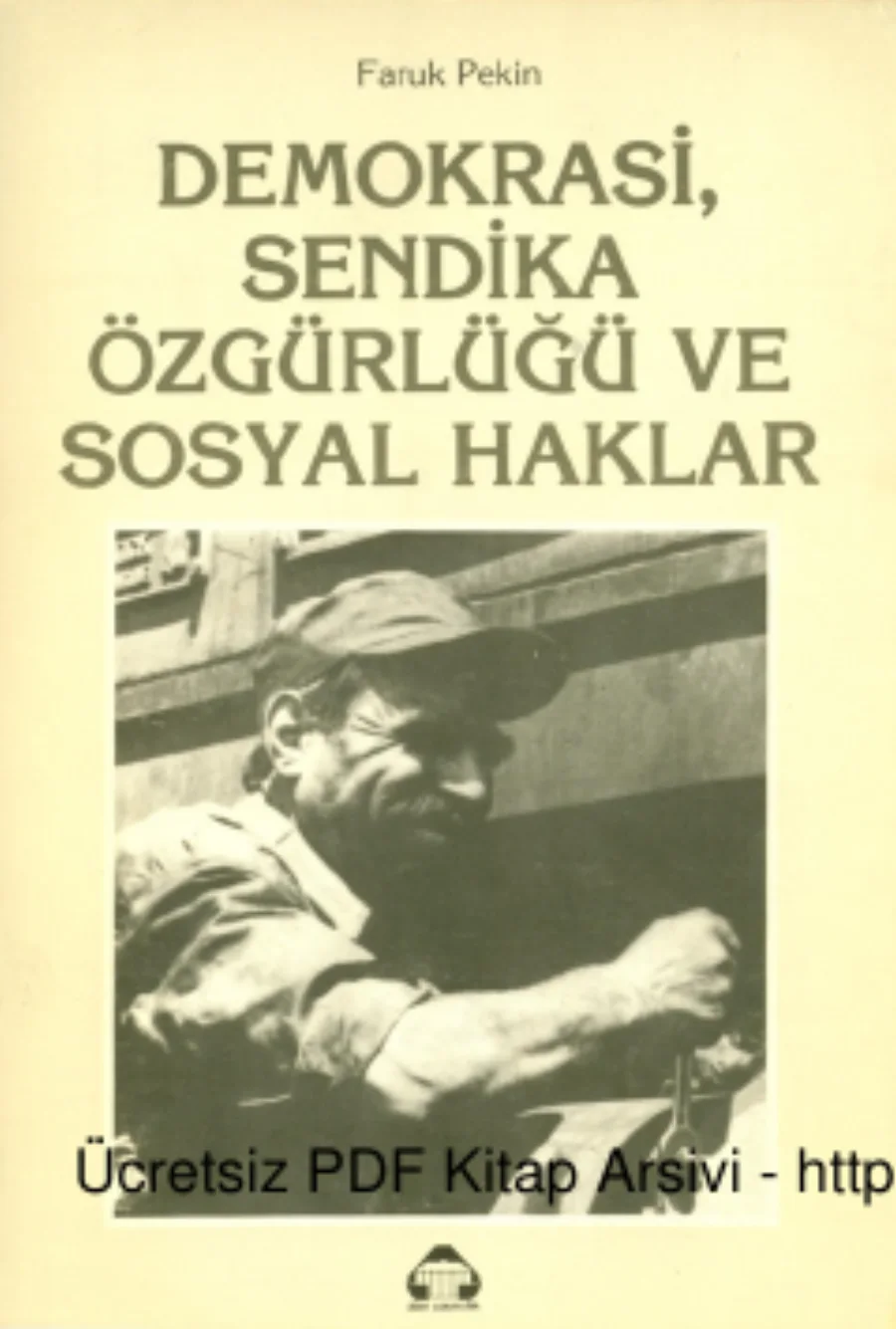 Demokrasi Sendika Özgürlüğü ve Sosyal Haklar kapak görseli