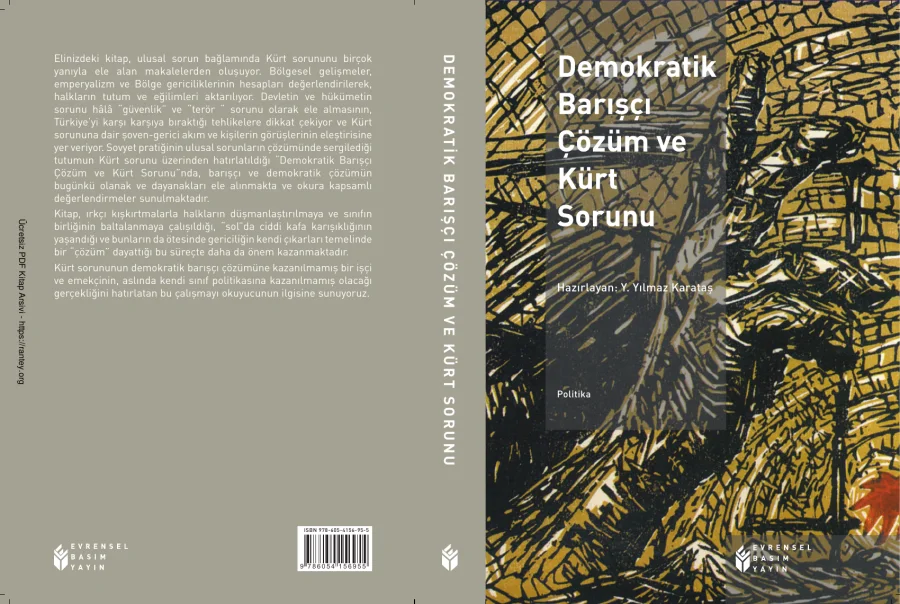 Demokratik Barış Çözüm ve Kürt Sorunu kapak görseli
