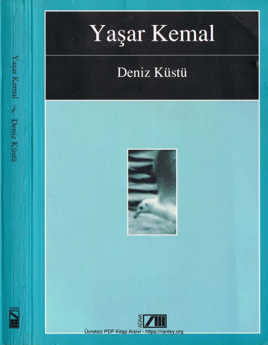 Deniz Küstü kapak görseli