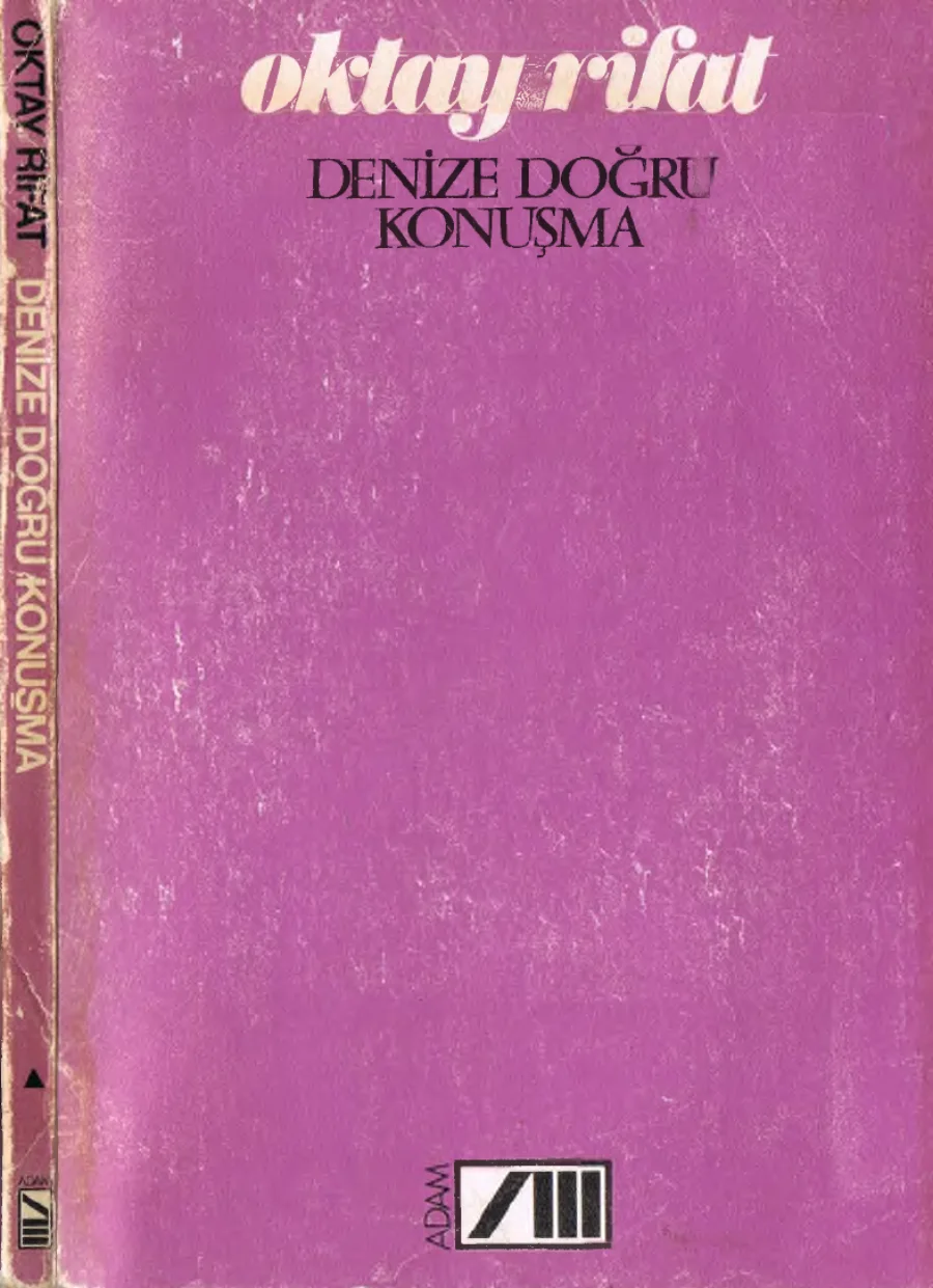 Denize Doğru Konuşma kapak görseli