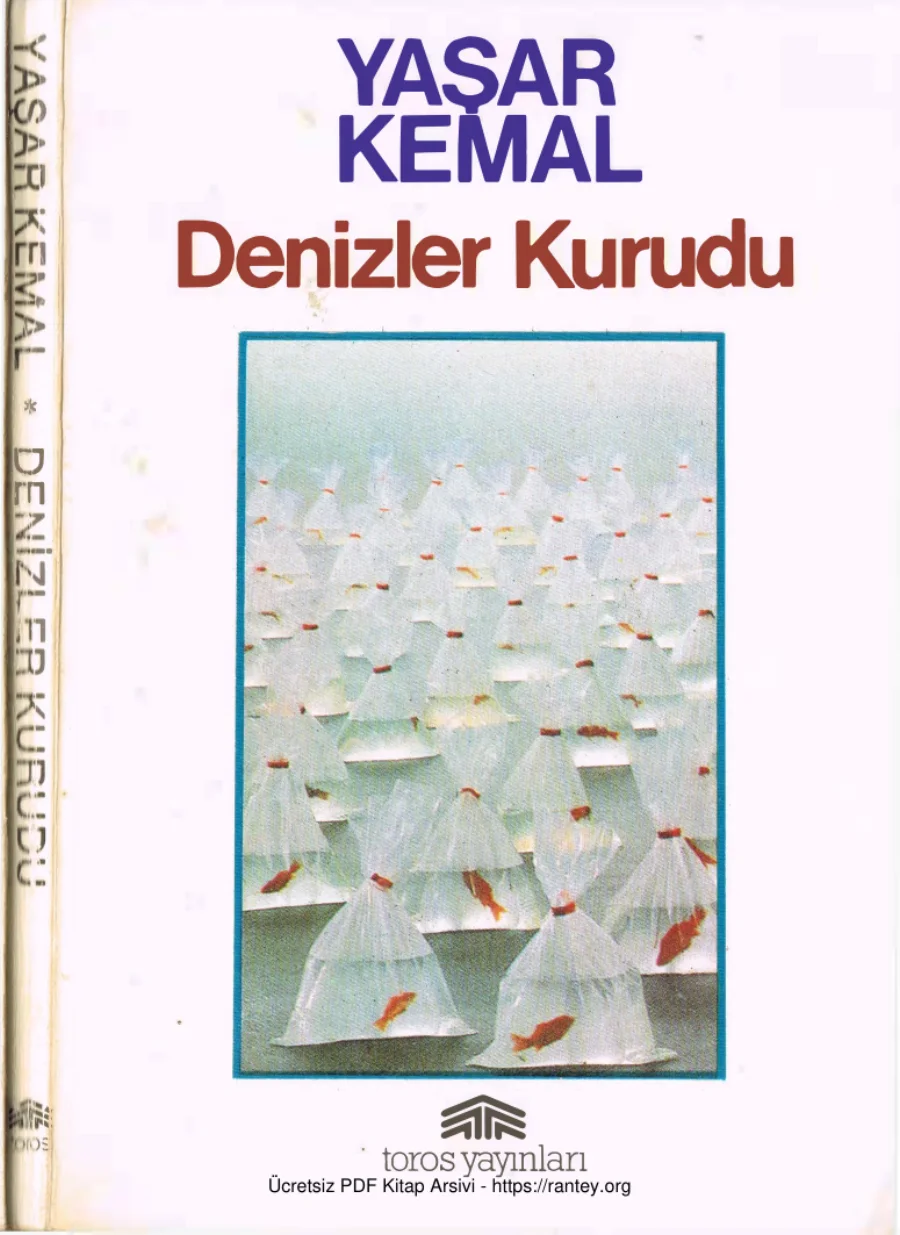 Denizler Kurudu kapak görseli