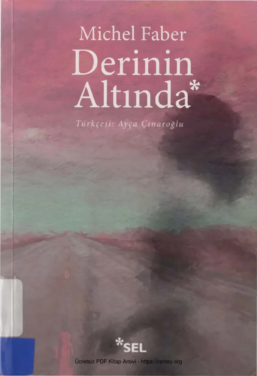 Derinin Altında Sel Yayınları kapak görseli