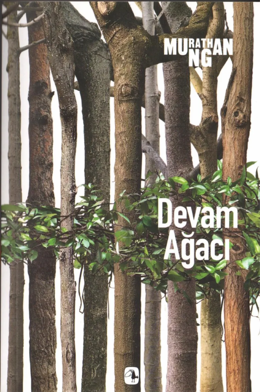 Devam Ağacı kapak görseli