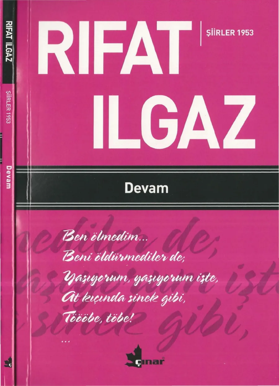 Devam kapak görseli