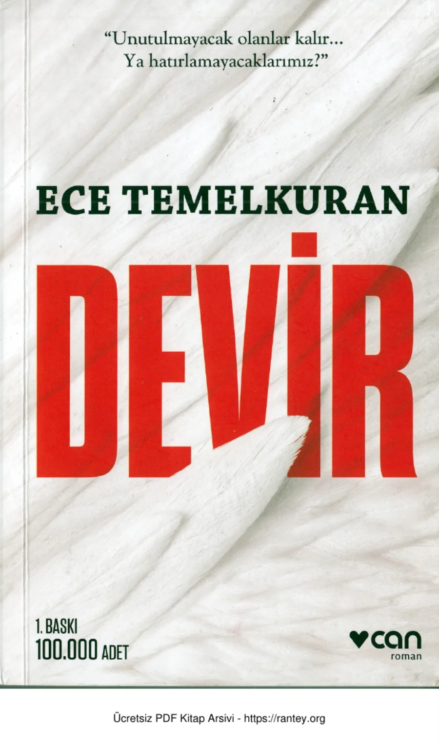 Devir kapak görseli