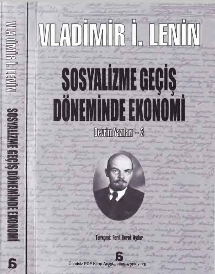 Devrim Yazıları 3 Sosyalizme Geçiş Döneminde Ekonomi kapak görseli