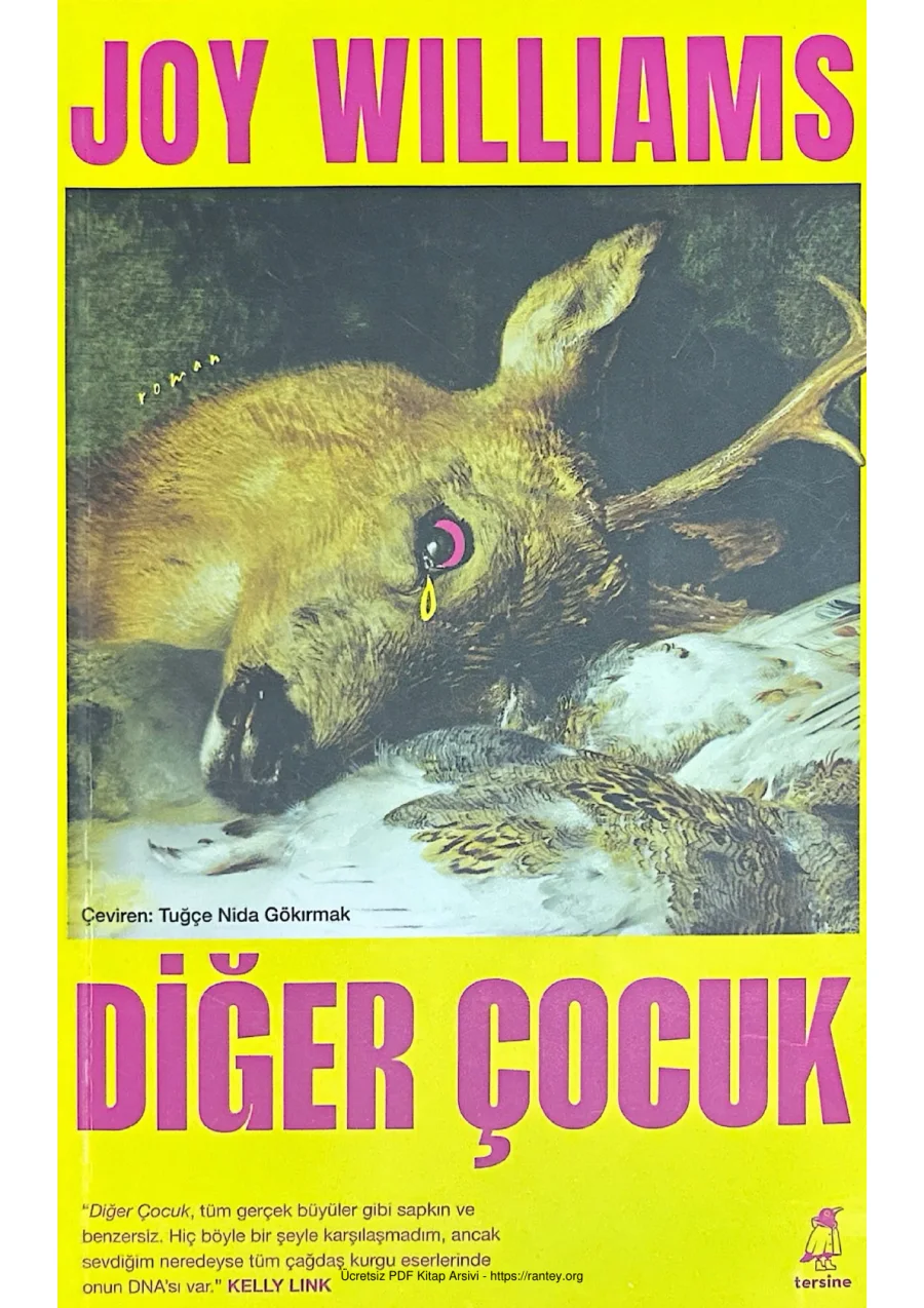 Diğer Çocuk kapak görseli