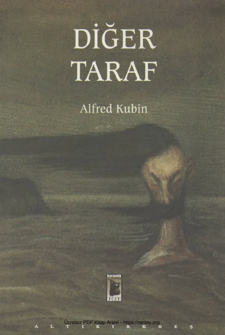 Diğer Taraf Altı kapak görseli