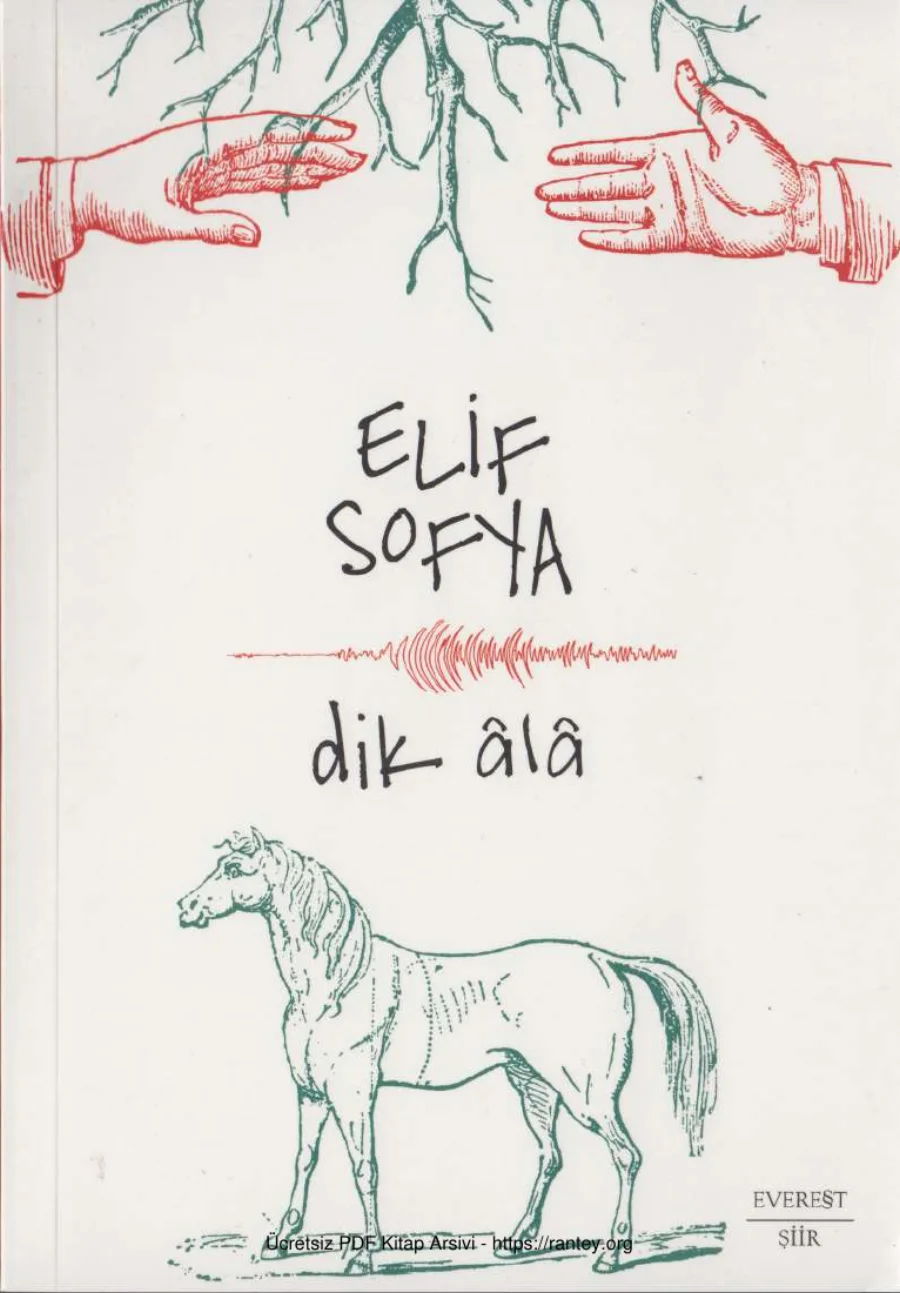 Dik Ala kapak görseli