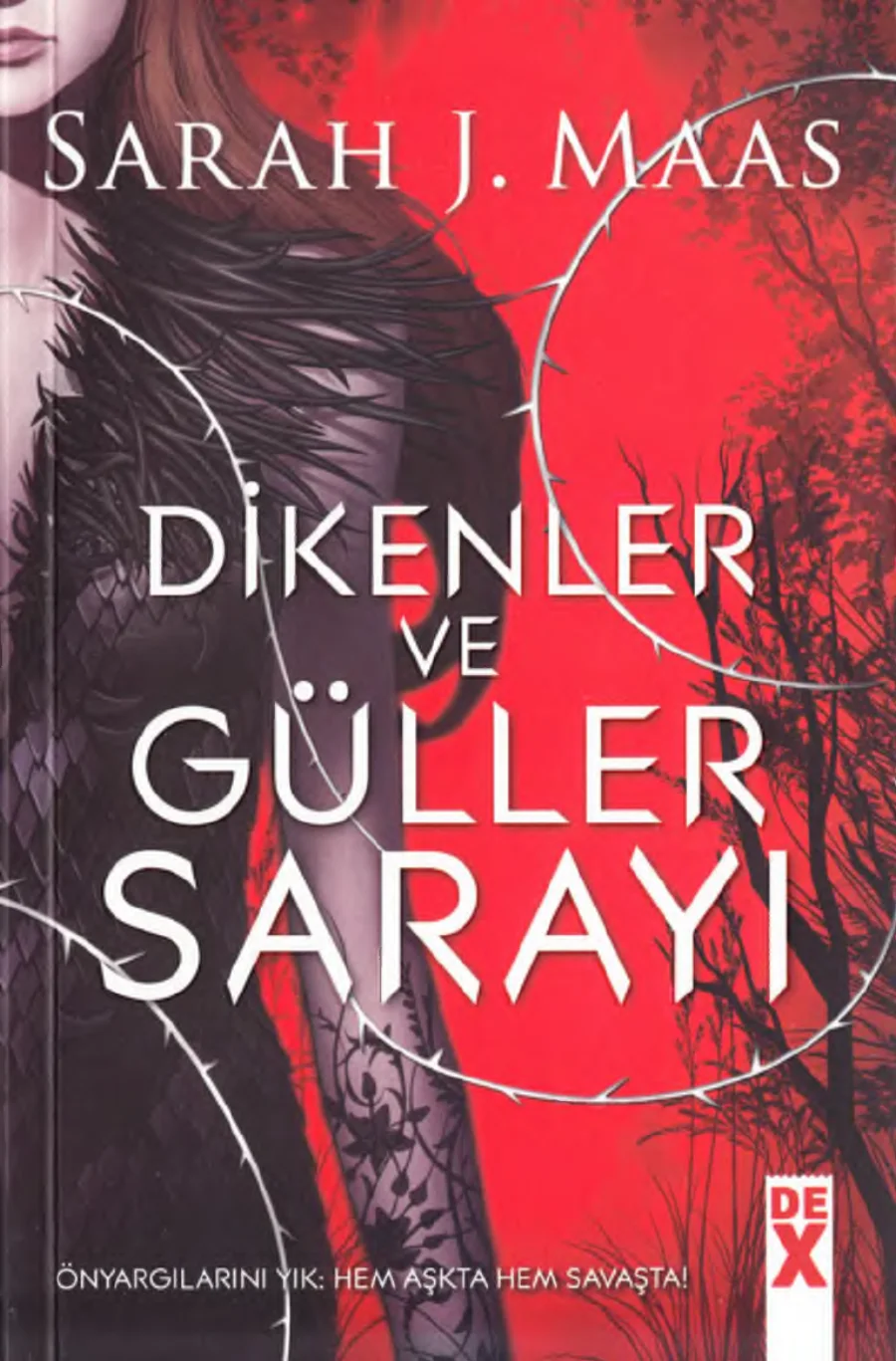 Dikenler ve Güller Sarayı kapak görseli