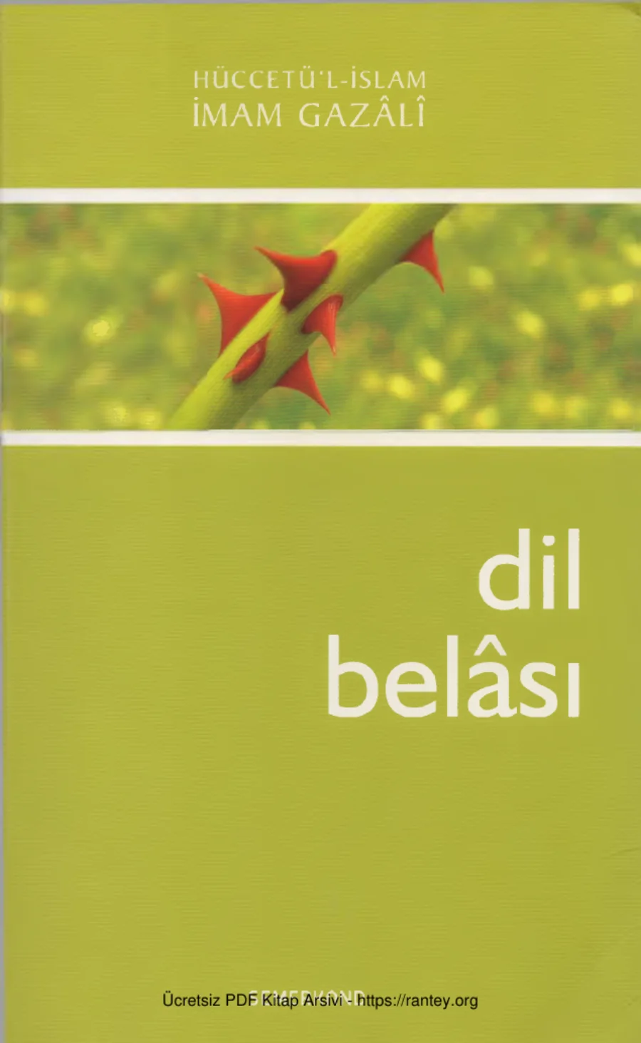 Dil Belası kapak görseli