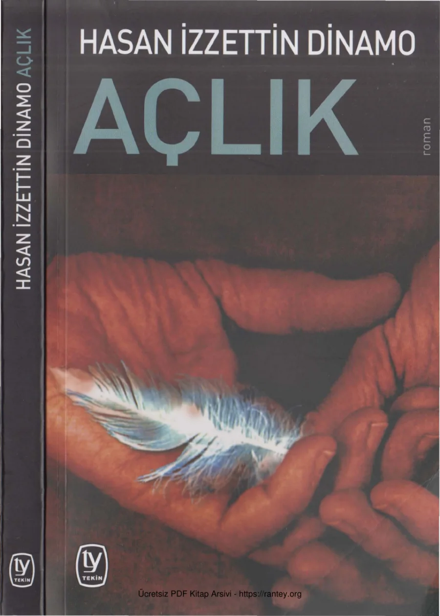 Dinamo Açlık kapak görseli