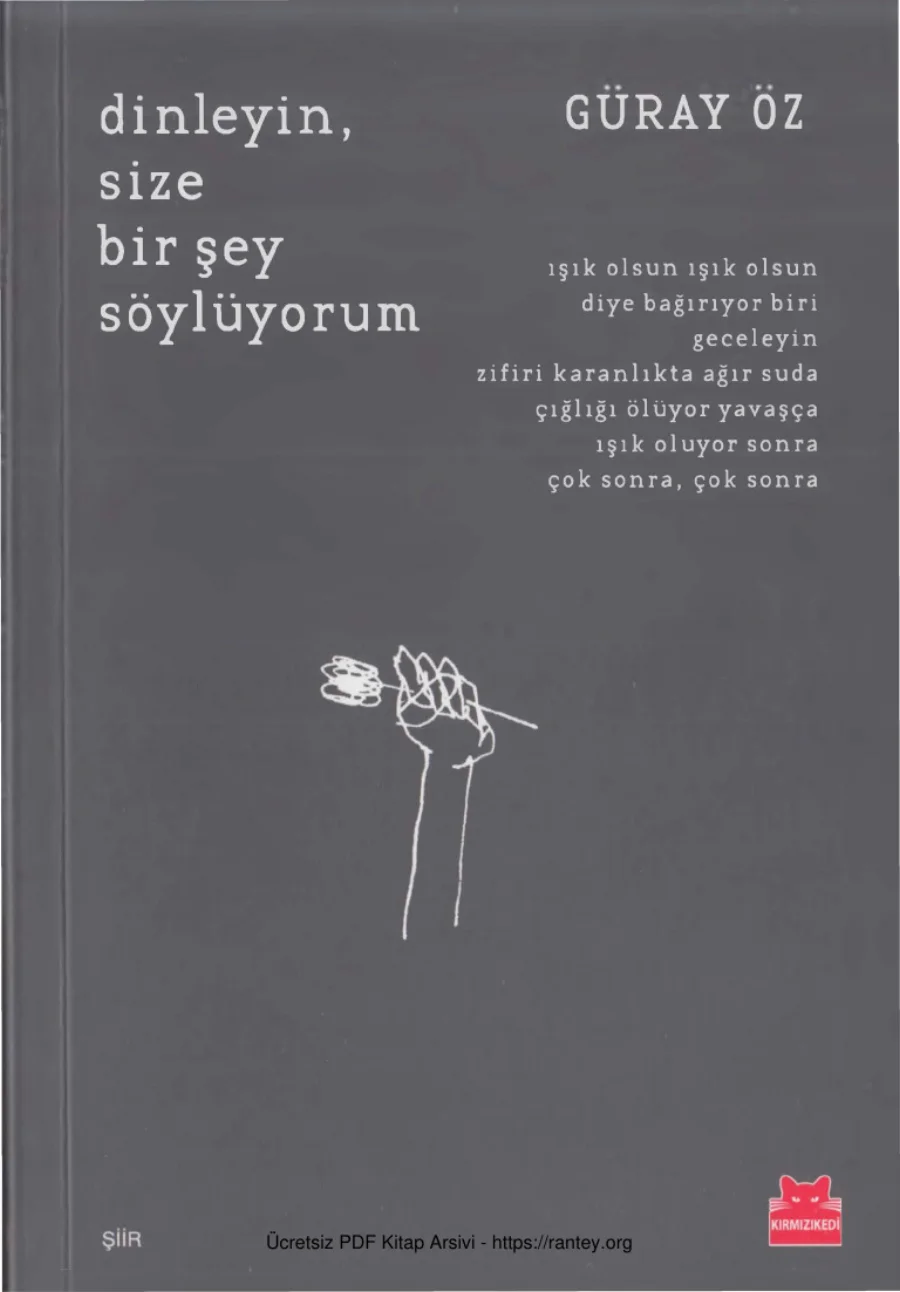 Dinleyin Size Bir Şey Söylüyorum kapak görseli