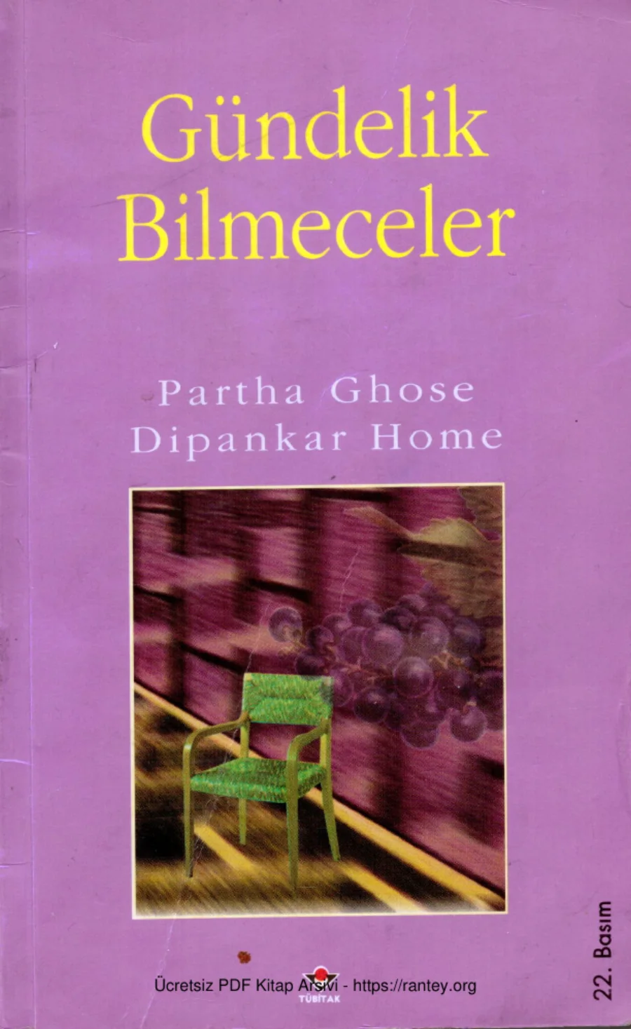 Dipankar Home Gündelik Bilmeceler kapak görseli