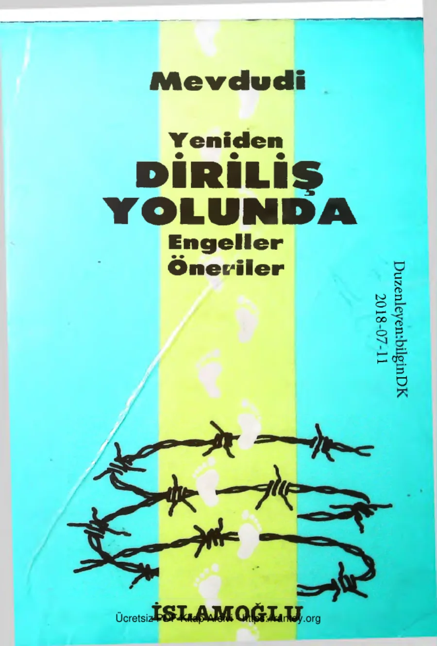 Dirilis Yolunda Engeller ve Cozumler kapak görseli