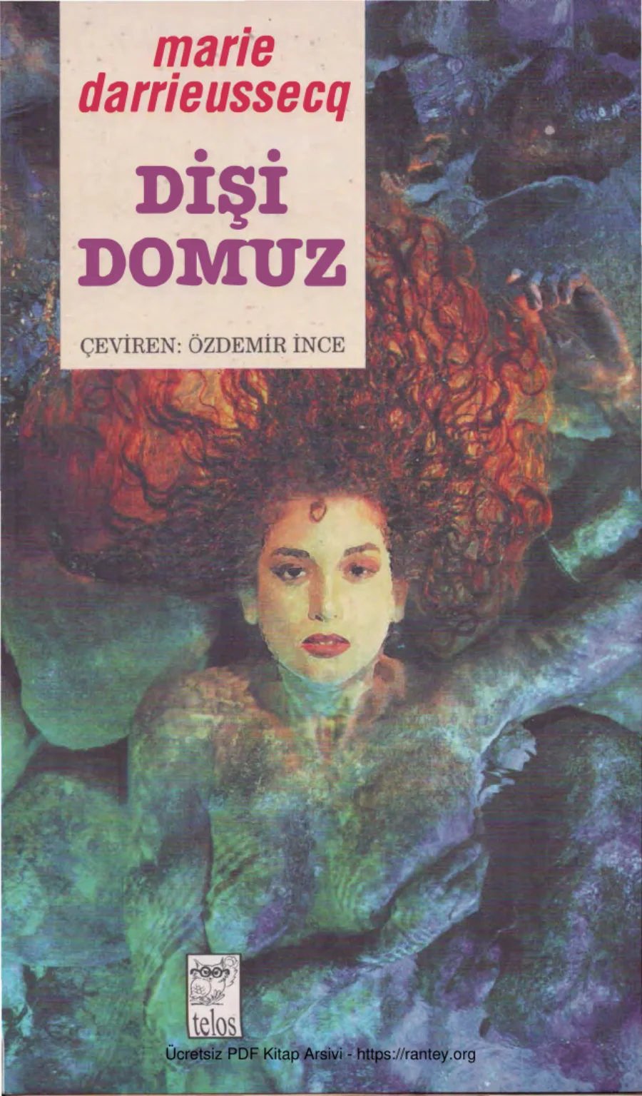 Dişi Domuz Telos Yayınları kapak görseli
